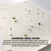 Daisy Seed Sticky Note Pads Seed Paper
